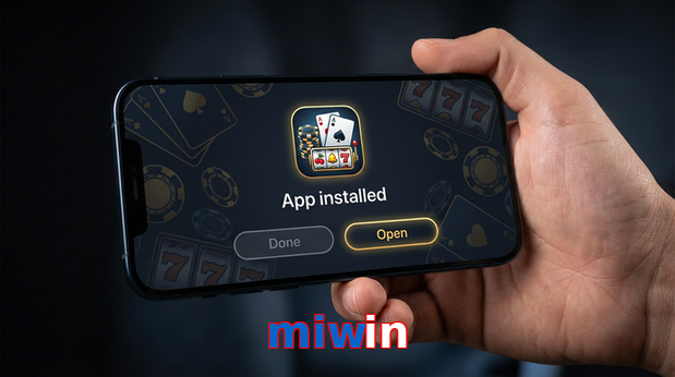 Payment and PKR controls in Miwin